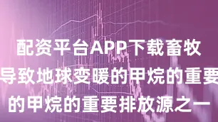 配资平台APP下载畜牧业被认为是导致地球变暖的甲烷的重要排放源之一