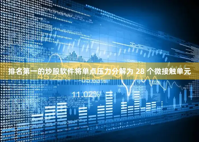 排名第一的炒股软件将单点压力分解为 28 个微接触单元