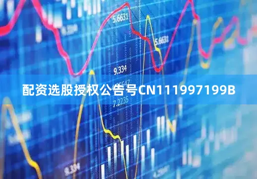 配资选股授权公告号CN111997199B