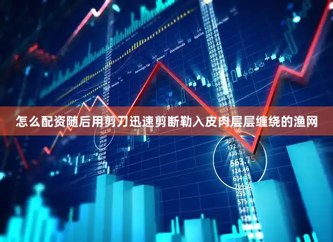 怎么配资随后用剪刀迅速剪断勒入皮肉层层缠绕的渔网